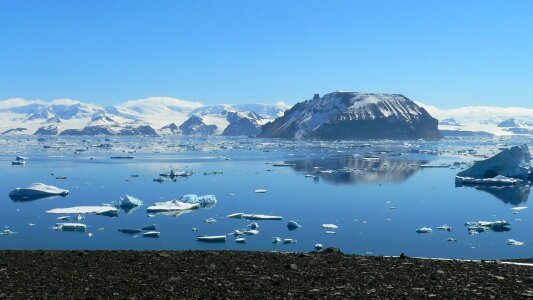 Antarctica red island jamess ross