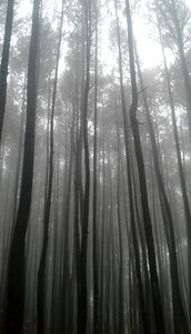 Nature traveling indonesian
