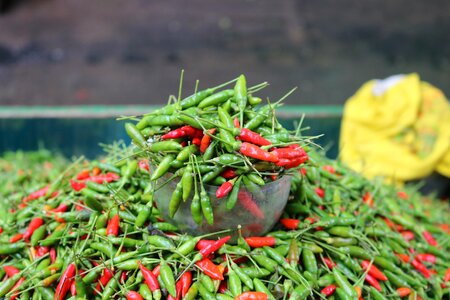 Pepper fair vegetables