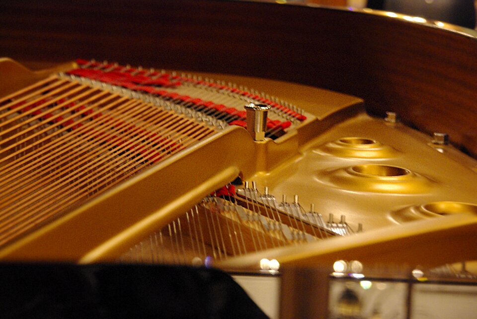 Musical instrument instrument music