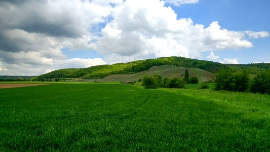 Vineyard bavaria germany