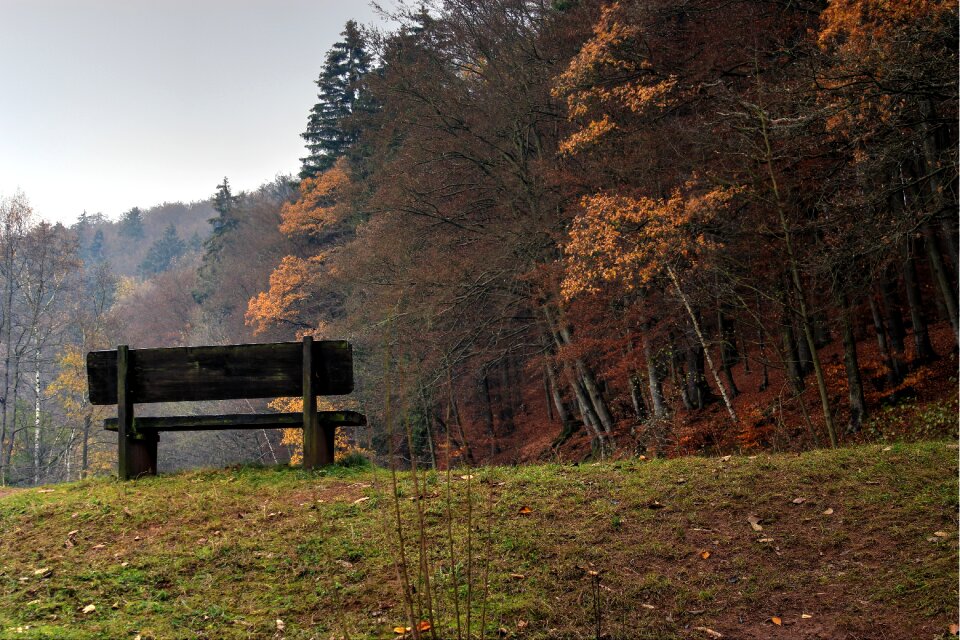 Idyllic landscape relax