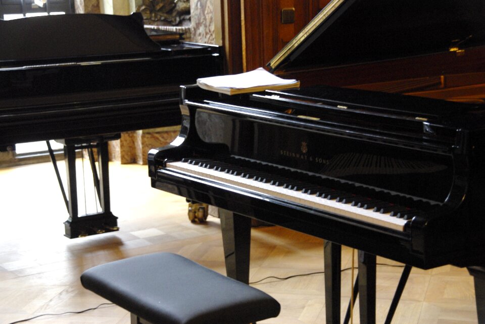 Keys instrument piano keyboard