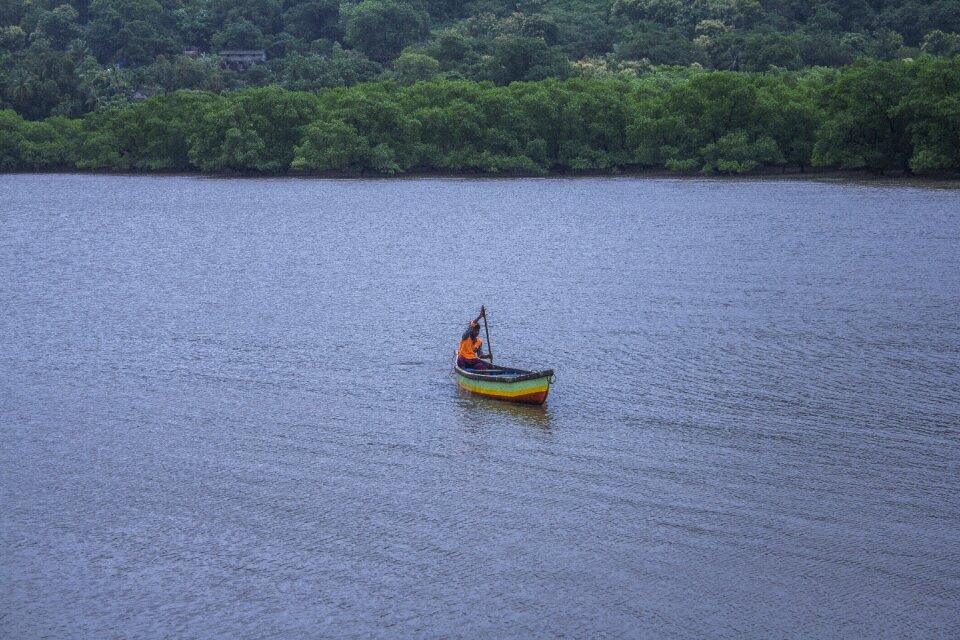 Fishing nature fish