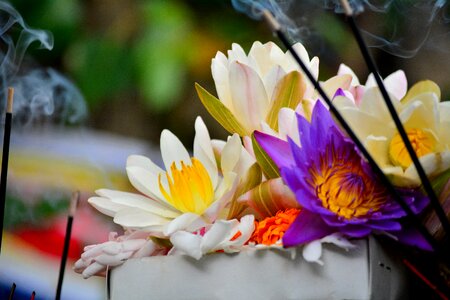 Colors temple