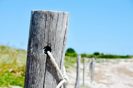 Sea wood top