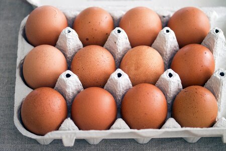 Eggs rural life hens