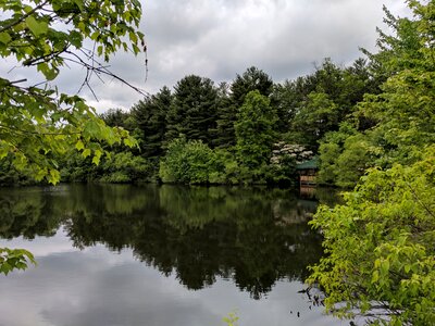 Maryland gazebo nature