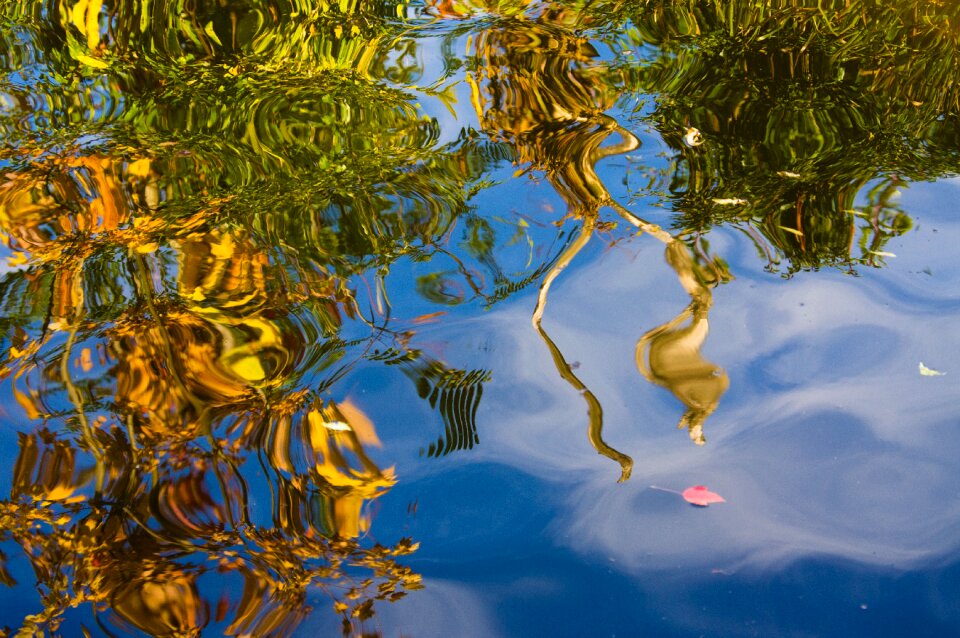 Abstract nature lake