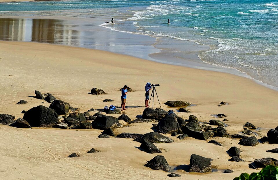 Camera coast brown camera