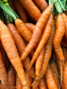 Farmers market healthy vegetable
