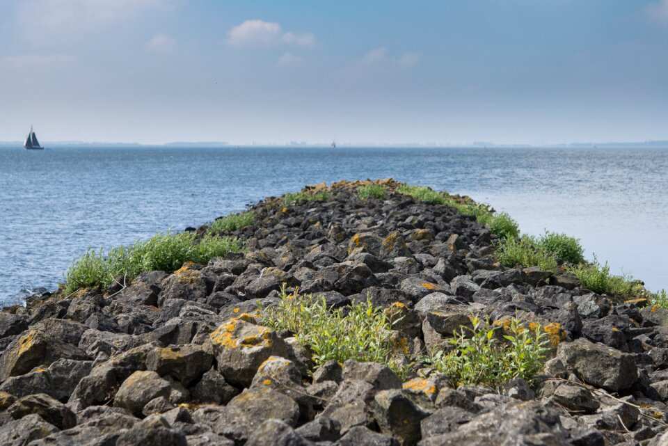 Sea nature stone