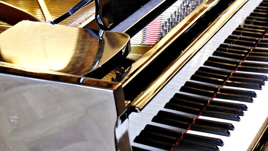 Keys musical instrument piano keyboard