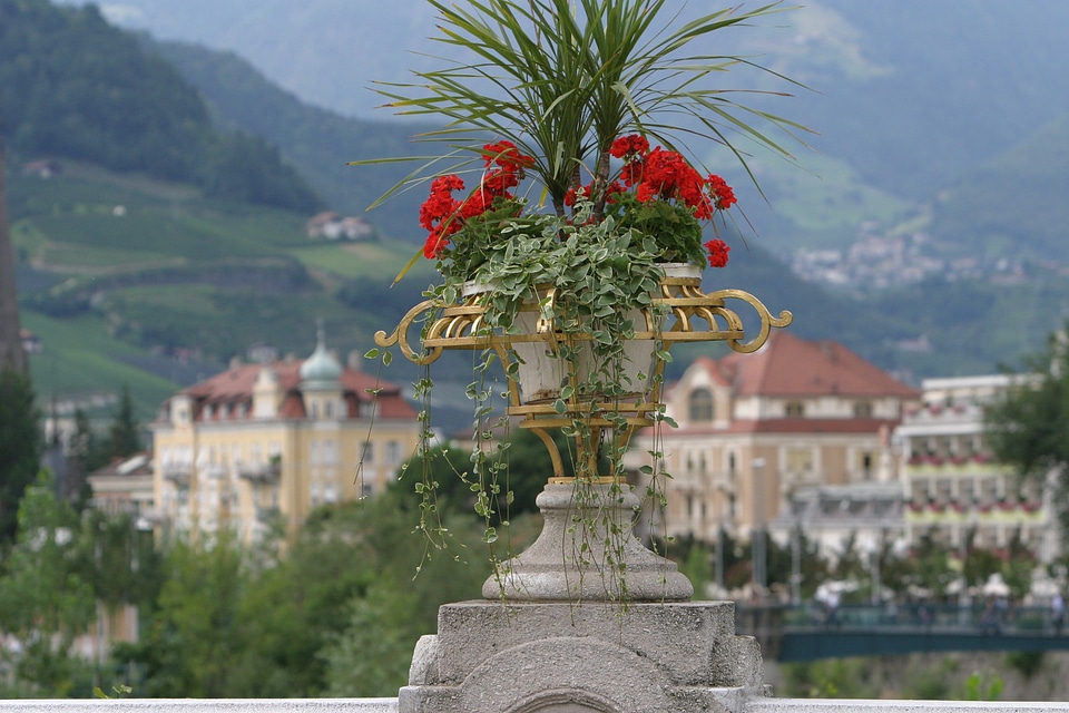 View dolomites still life