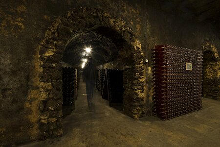 Wines s john