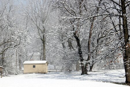 Season frost landscape