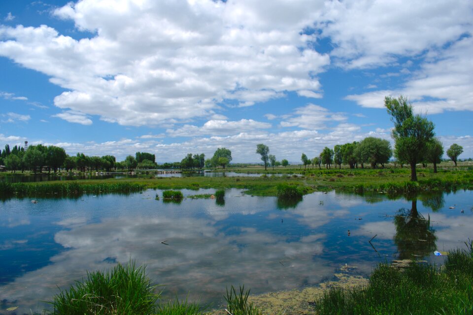 Landscape reflection light