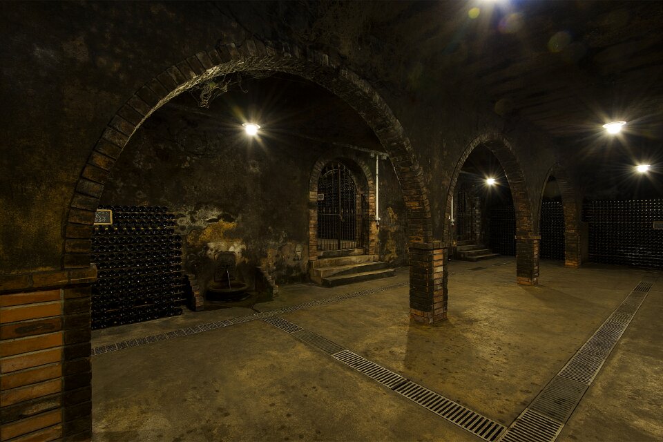 Anadia bairrada wines