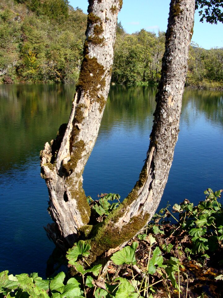 Nature water outdoor