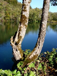 Nature water outdoor photo