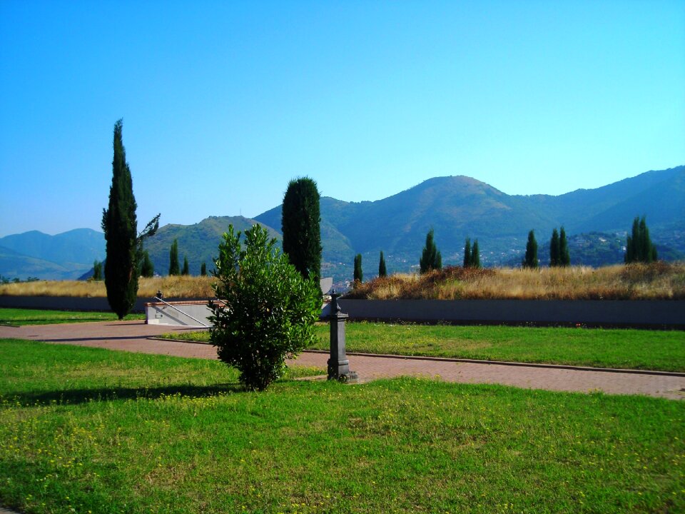 Cypress trees cemetery cypress