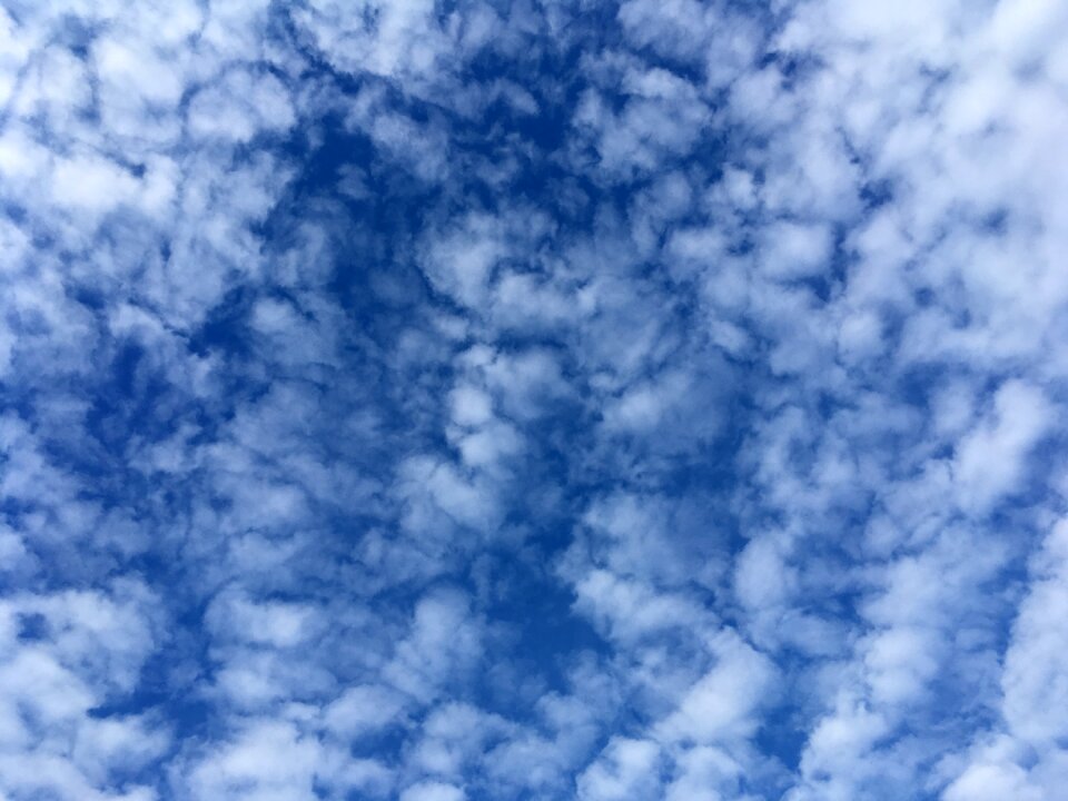 Blue weather white
