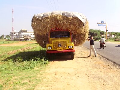 Truck cargo