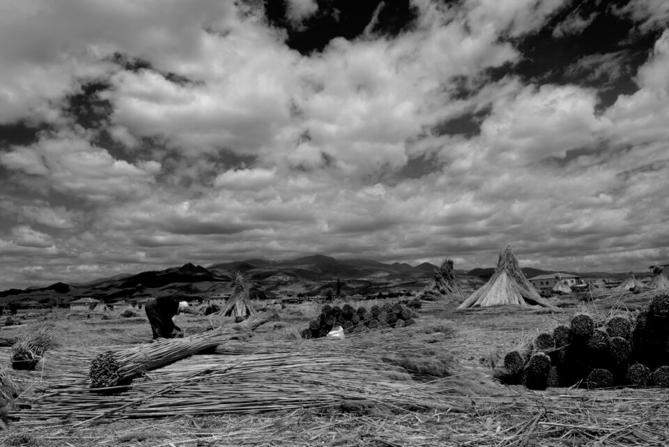 Black white cloud