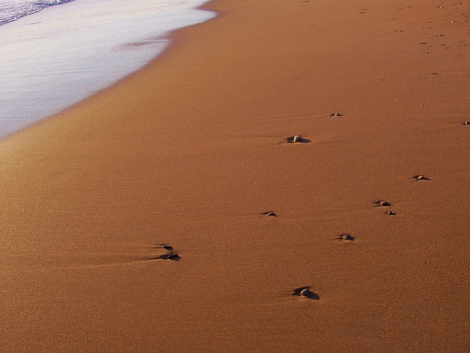 Nature sea vacations