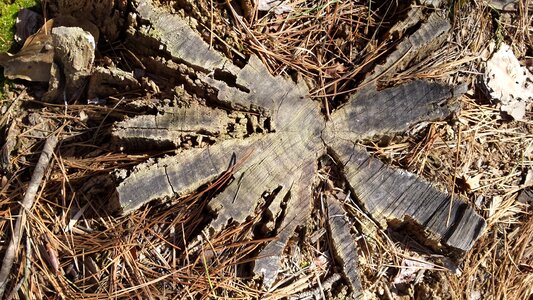 Natural outdoor wood