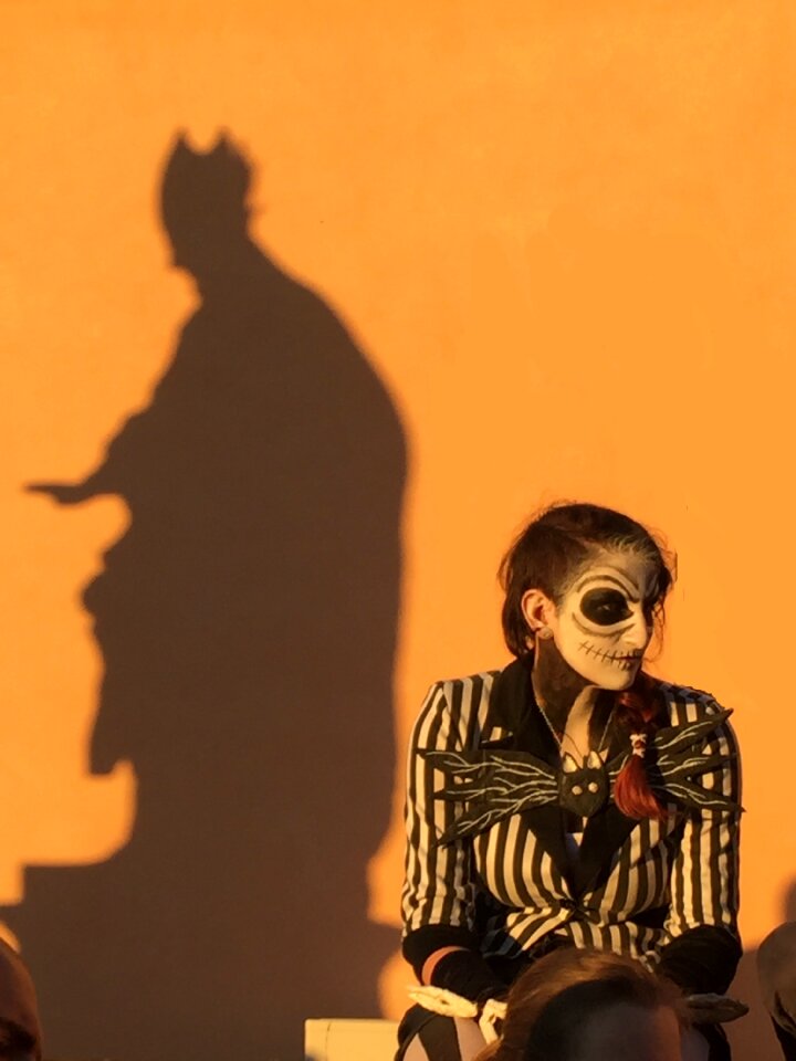 Carnival masks shadow