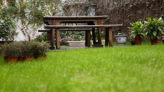 Grassland chinese table fresh