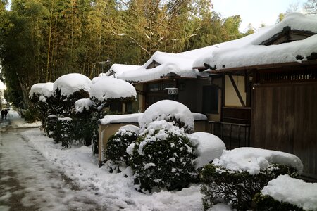 Snow lanshan log cabin