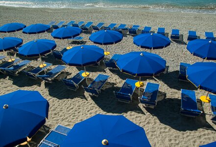 Beach parasols sun loungers photo