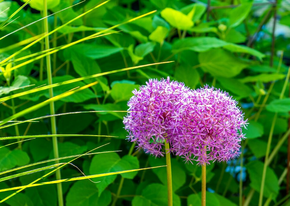 Green people of color nature