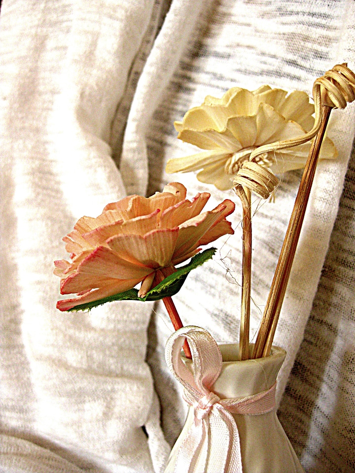 Decoration floral plant