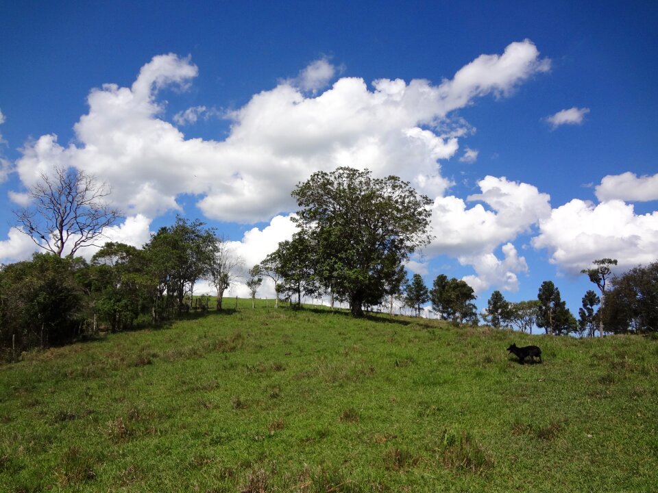 Nature farm blue sky