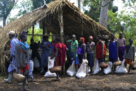 Coffee farm ethiopia