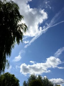 Blue sky cloud skies