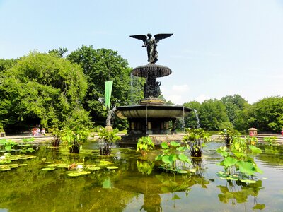 Source park lake