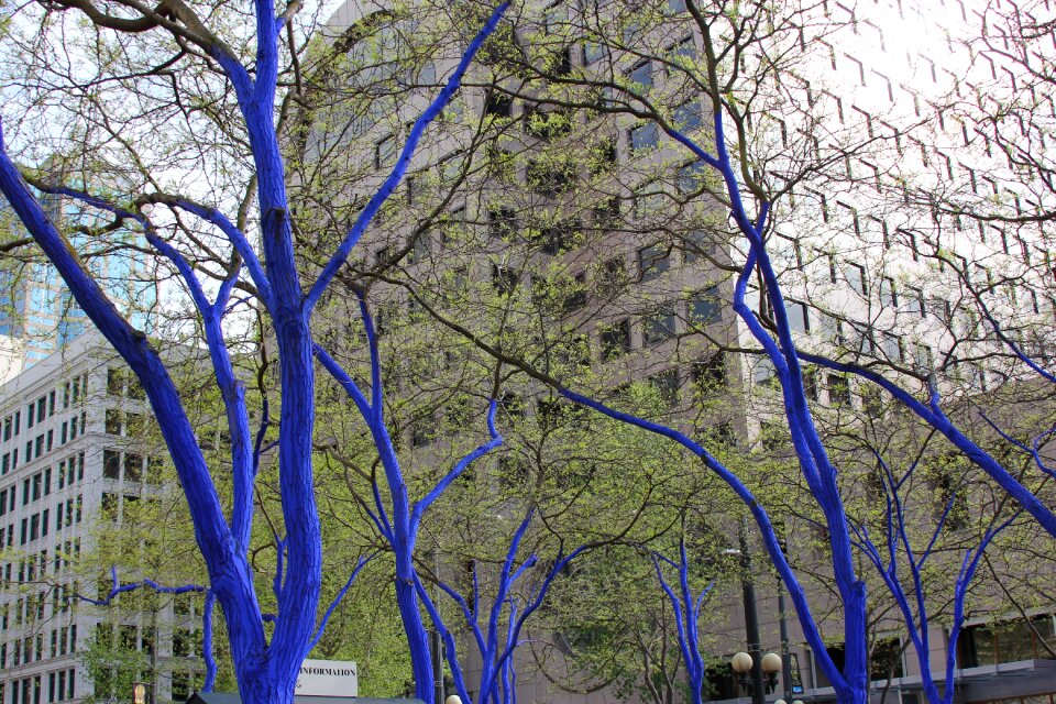 Blue nature forest