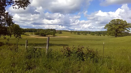 Meadow countryside landscape