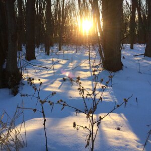 Winter québec canada photo