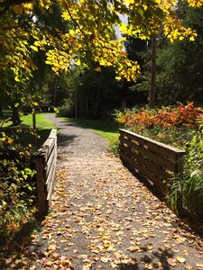 Autumn landscape canada autumn leaves
