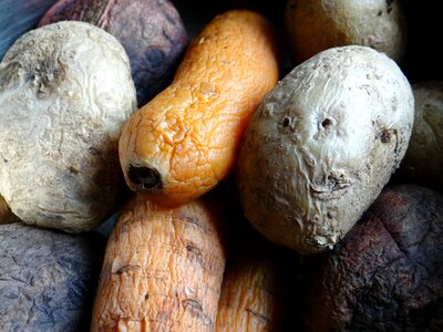 Boiled vinaigrette vegetables