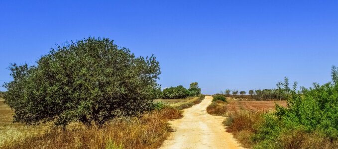 Rural landscape nature photo