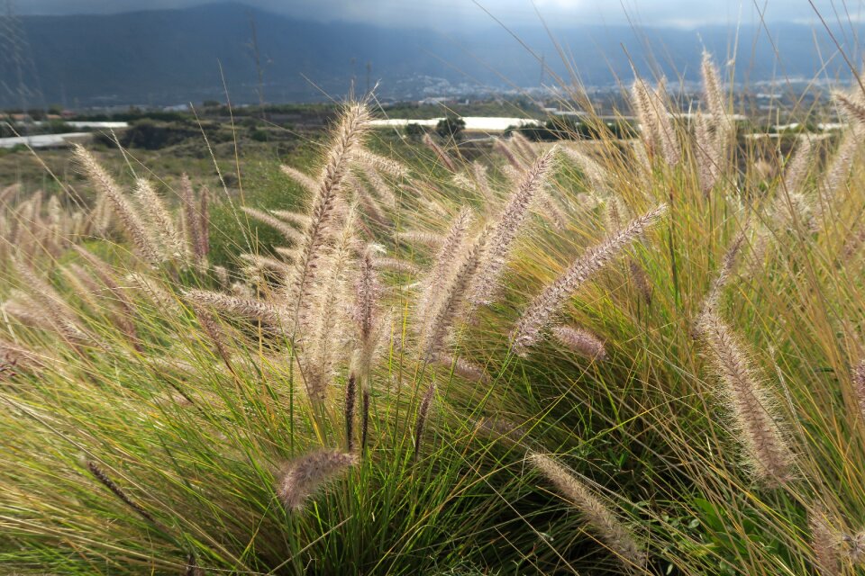 Nature clouds field