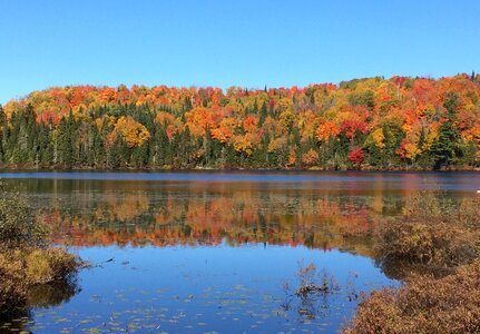 Lake landscape autumn landscape photo