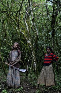 Ethio coffee farm