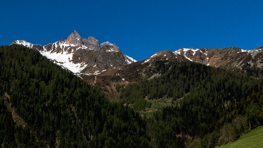 Alpine forest landscape photo